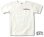 画像1: STUDIO D'ARTISAN ダルチ - 吊り編みP付き刺繍半袖Tシャツ　オフホワイト (1)