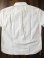 画像10: PHERROW'S フェローズ - 半袖ボタンダウンシャツ　ホワイト