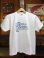画像10: PHERROW'S フェローズ - PHERROW'S × PEACE コラボ プリントTシャツ　ホワイト