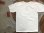 画像12: STUDIO D'ARTISAN ダルチ - 吊り編みプリントTシャツ　ホワイト　【MADE IN JAPAN】　