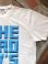 画像3: PHERROW'S フェローズ - 3D風ロゴ Tシャツ　ホワイト