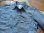 画像14: PHERROW'S フェローズ -  '40年代モデルワークシャツ 　ブルーシャンブレー　【MADE IN JAPAN】