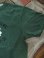 画像3: PHERROW'S フェローズ - ORIENTAL TIGERS Tシャツ　グリーン