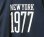 画像2: PHERROW'S フェローズ -  NY1977 フットボールT Tシャツ 袖ライン NAVY (2)