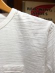 画像2: PHERROW'S フェローズ - スラブコットンプレーンクルーネックTシャツ　ホワイト　【MADE IN JAPAN】