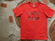 画像2: GOHEMP ART LABO ゴーヘンプ - "pacific ring" by Gravityfree S/SL TEE　POPPY RED