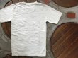 画像8: ORGUEIL オルゲイユ - Crew Neck T-Shirt　White　【MADE IN JAPAN】