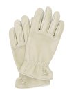 画像1: LAMP GLOVES -ランプグローブス LAMP GLOVES -UTILITY GLOVE STANDARD- GREIGE