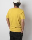 画像3: GOHEMP ゴーヘンプ - BASIC S/SL TEE：LEMON FUZZ